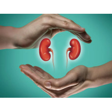 Kidney Wellness Checkup by Lakhotia