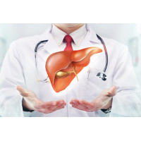 Liver Wellness Checkup by Lakhotia Liver Wellness Checkup by Lakhotia