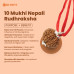 10 Mukhi Nepali Rudraksha – Powerful Protection & Negative Energy Shield