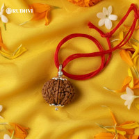 10 Mukhi Nepali Rudraksha – Powerful Protection & Negative Energy Shield