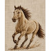 NEONOMAD Men Embroidered Regular Fit Shirt