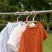 Ganesh Set of 6 Durable Plastic Cloth Hangers