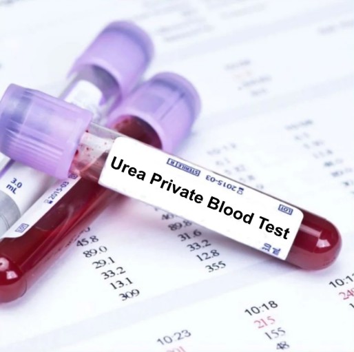 UREA Test By RB Diagnostic