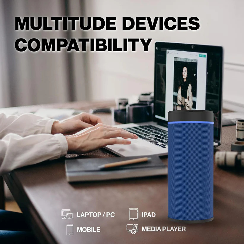 Portable Bluetooth speaker (media player)